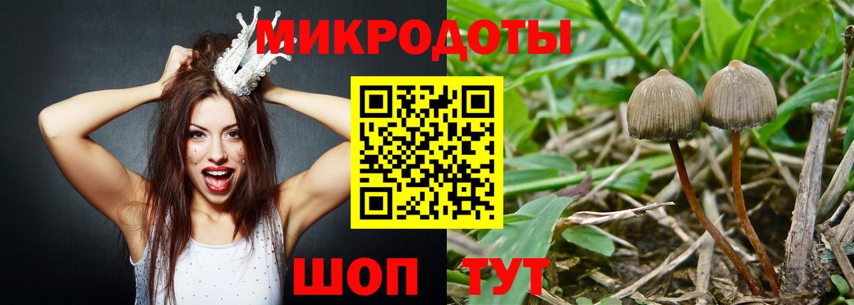 Туапсе  Псилоцибиновые грибы GOLDEN TEACHER  Галлюциногенные грибы мухоморы  где купить наркотик  Вход с VPN 